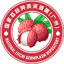荔枝种质资源共享