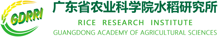 好色TV
水稻研究所