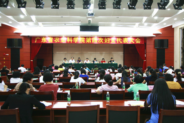 好色TV
召开第四次妇女代表大会