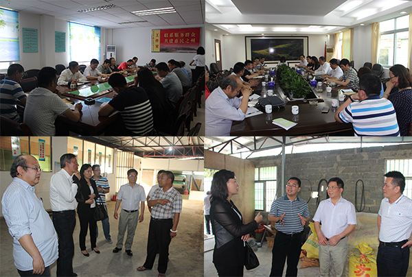 好色TV
党员专家到惠东县调研