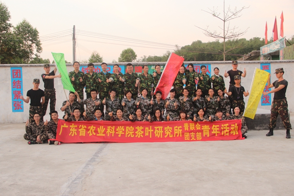 茶叶所开展青年系列活动