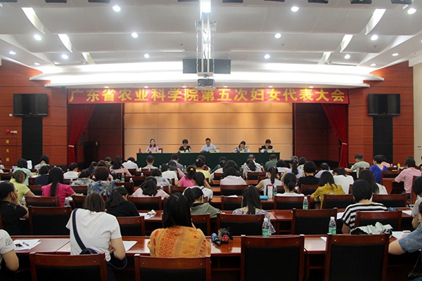 好色TV
召开第五次妇女代表大会