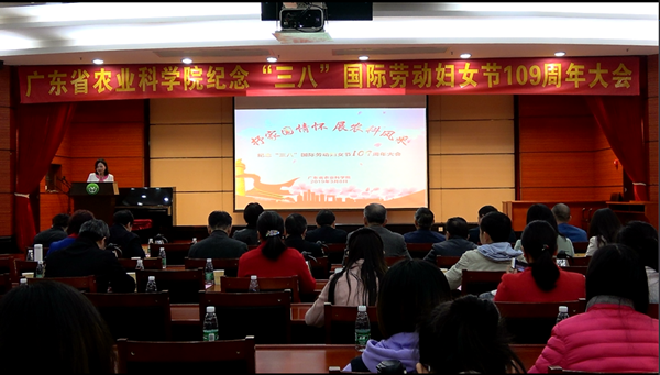 好色TV
举办妇女节纪念大会