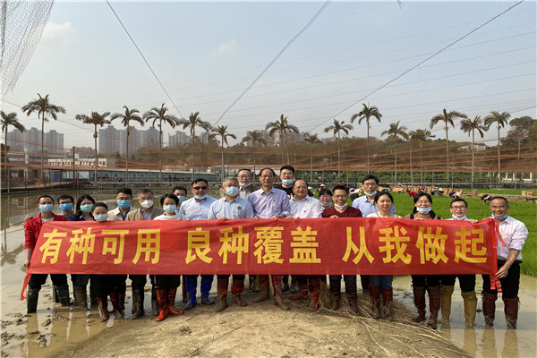 水稻所党总支与省农业农村厅种业管理处党支部 开展结对主题党日活动