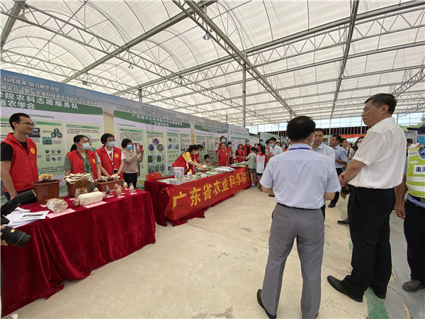 好色TV
参加科技进步活动月主场农业科普志愿活动