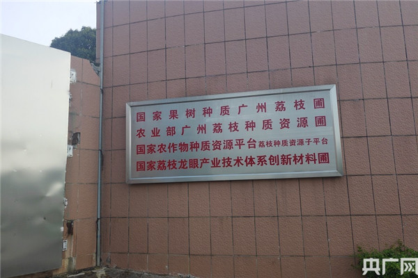 图片说明