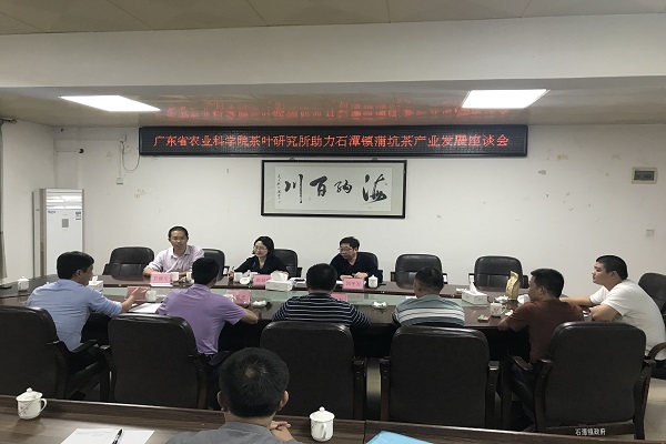 茶叶所专家赴清远开展蒲坑茶产业发展调研1 - 副本.jpg