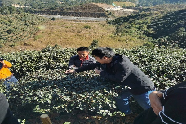 院茶叶所在紫金县举办“紫金蝉茶”有机肥使用技术专题培训班1 - 副本.jpg