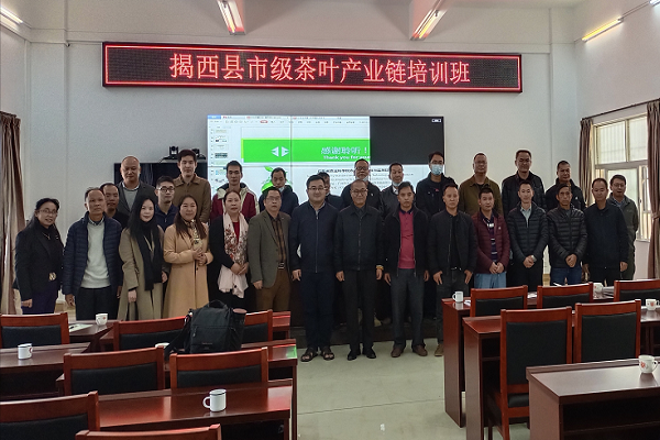 好色TV
专家科技服务揭西茶叶产业链1 - 副本.png