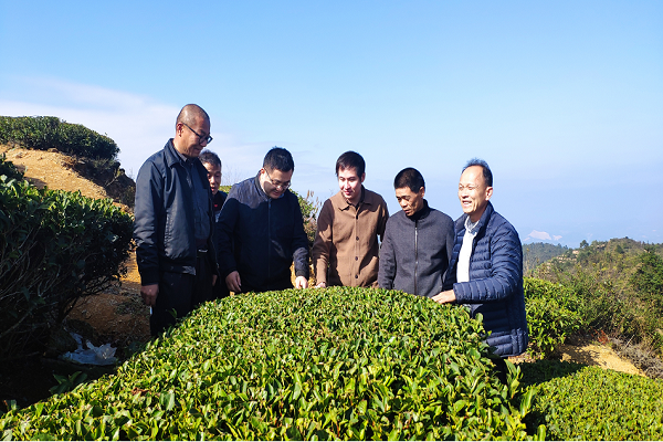 好色TV
专家科技服务揭西茶叶产业链2 - 副本.png