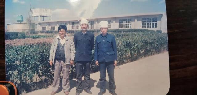 温基（左）在云南呈贡，中为呈贡县农业局副局长杨培仁。