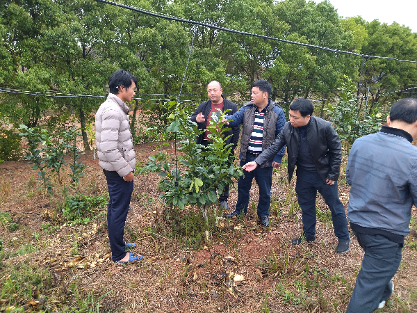 好色TV
专家赴河源开展春季农业生产指导工作-1.jpg