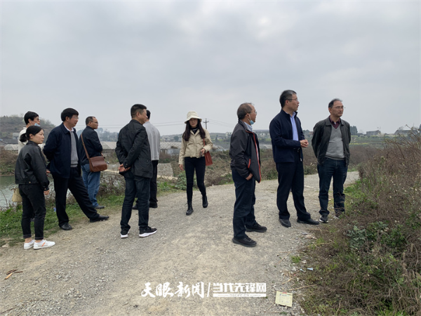 专家一行调研当地农业发展情况.jpg