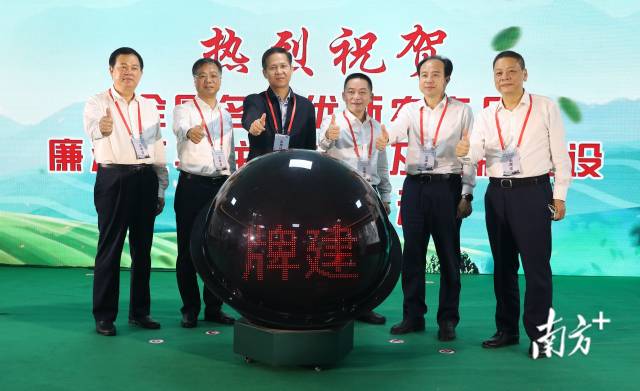 廉江红乌龙茶标准及品牌建设启动。