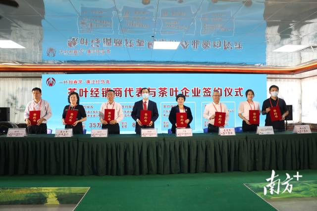 经销商签约订购廉江茶。