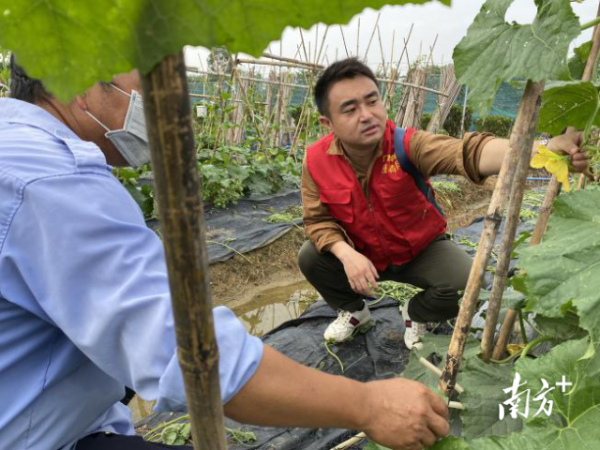 南方农村报 杨吉龙 拍摄