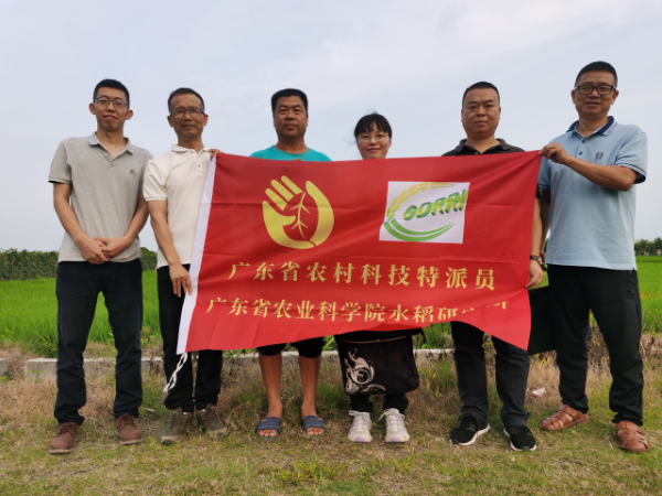 驻镇帮镇扶村工作队、汕尾分院和农村科技特派员团队。 驻镇帮镇扶村工作队、汕尾分院和农村科技特派员团队。