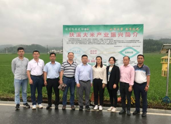 专家和领导们在仁化扶溪稻米产业园地合影。