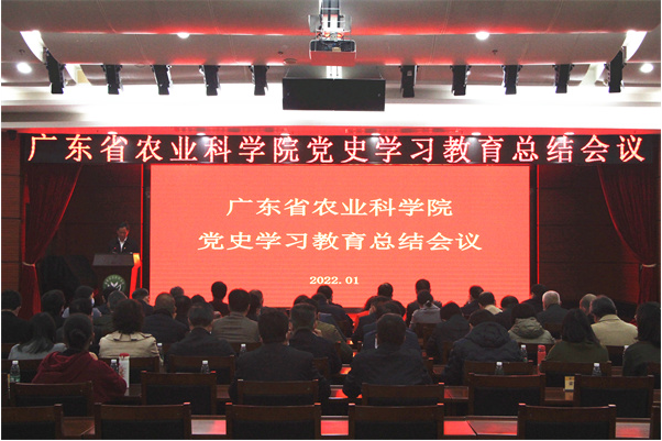 好色TV
召开党史学习教育总结会议