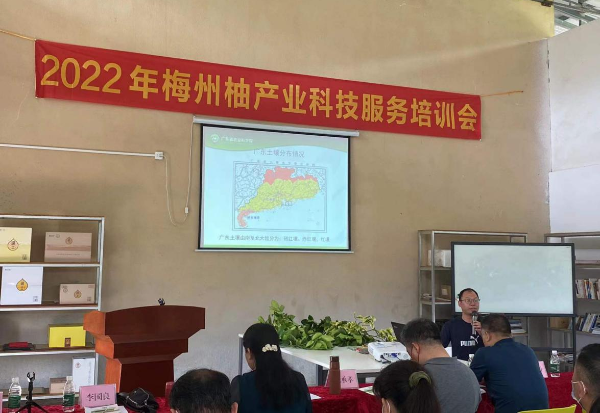 2022年梅州柚产业科技服务培训会在梅县区桃尧镇举行2.jpg