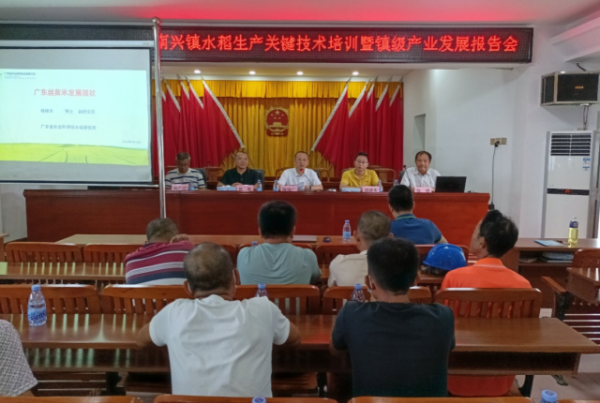 专题报告会场。