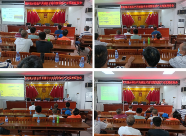 培训活动现场。