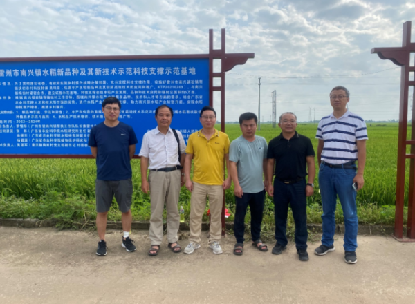 专家们在南兴镇梅田村新品种新技术试验示范基地调研。