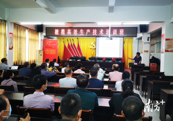 培训现场。