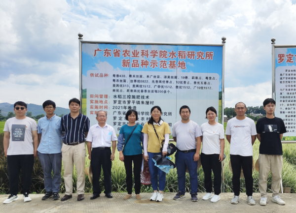 罗定市桦一农业科技有限公司水稻生产试验基地现场。