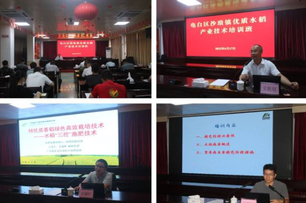 技术培训会现场。