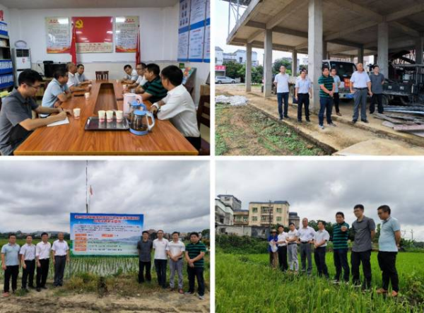 省农科院专家们在现场考察。