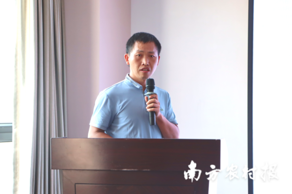 省农科院水稻所水稻生理生态研究室副主任傅友强。