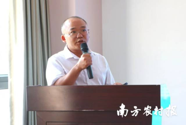 省农科院水稻所稻作新技术研究室主任、副研究员张彬。