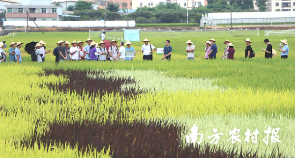 参会人员现场观摩。