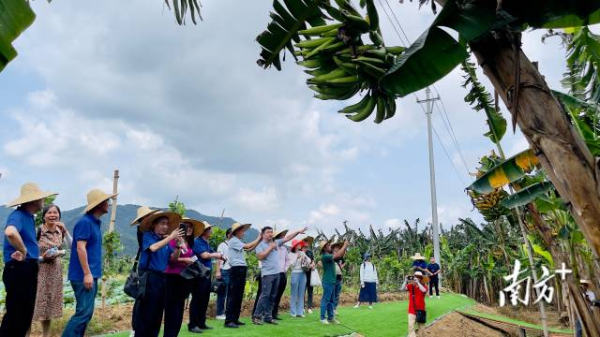 2  南方+ 邵一弘 拍摄