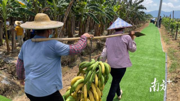 2  南方+ 邵一弘 拍摄