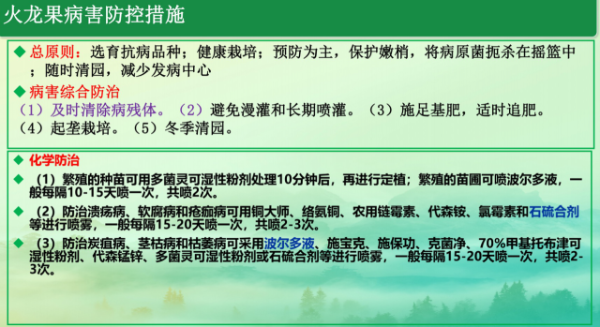火龙果病虫害防控 火龙果病虫害防控