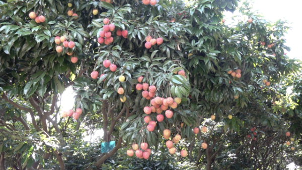 5 南方+ 陈庭辉 拍摄