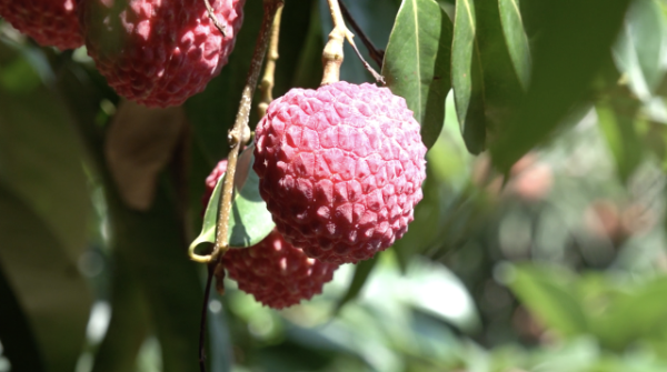 5 南方+ 陈庭辉 拍摄