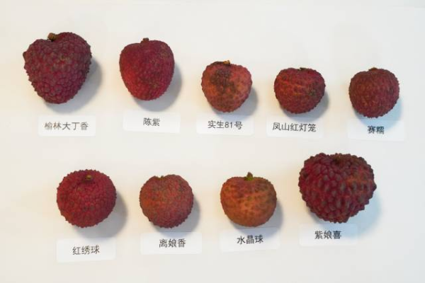 5 南方+ 陈庭辉 拍摄