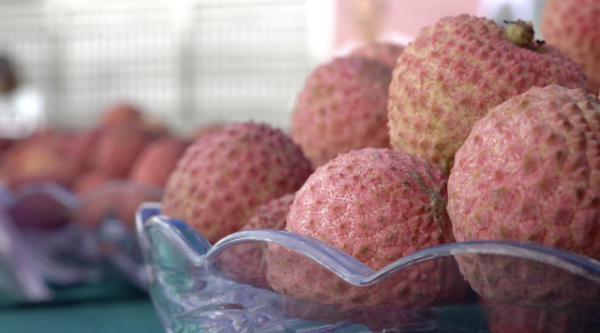 5 南方+ 陈庭辉 拍摄