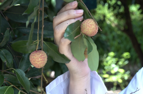 5 南方+ 陈庭辉 拍摄