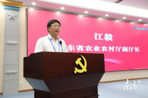 好色TV
副厅长江毅