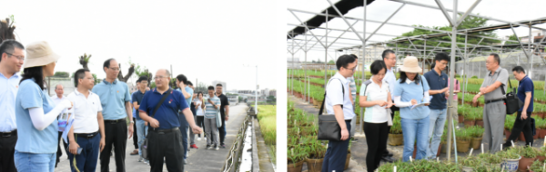 现场观摩。 现场观摩。