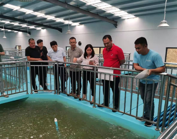 省农科院专家团到陆丰市水产产业园1.png