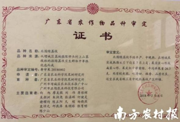 北园绿的“出生证明”