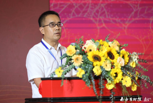 江门市人民政府党组成员、副市长曹阳。