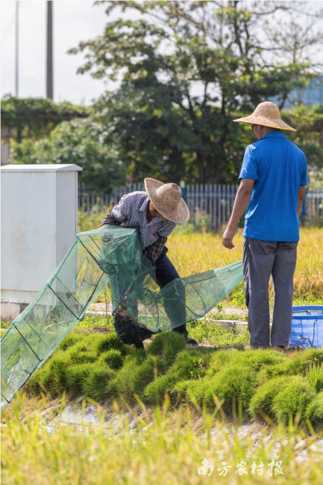 工人在起澳龙 工人在起澳龙