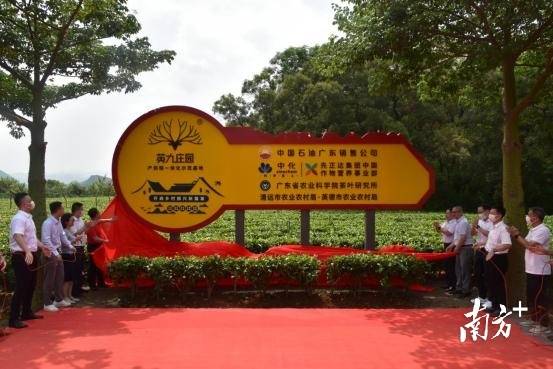 中国石油广东销售公司党委书记赵剑春、省农业科学院副院长何秀古、省农业科学院茶叶研究所所长唐劲驰等领导为英德红茶产供销一体化示范基地揭牌。通讯员供图 中国石油广东销售公司党委书记赵剑春、省农业科学院副院长何秀古、省农业科学院茶叶研究所所长唐劲驰等领导为英德红茶产供销一体化示范基地揭牌。通讯员供图