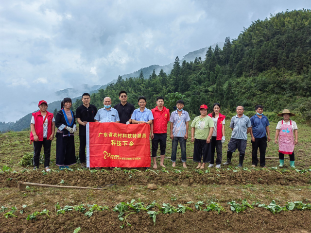 特派员团队在为村民示范种植 特派员团队在为村民示范种植